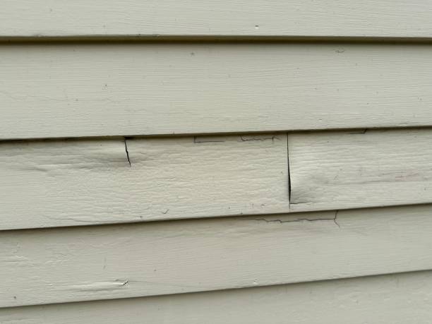 Best Engineered Wood Siding  in Water Valley, MS